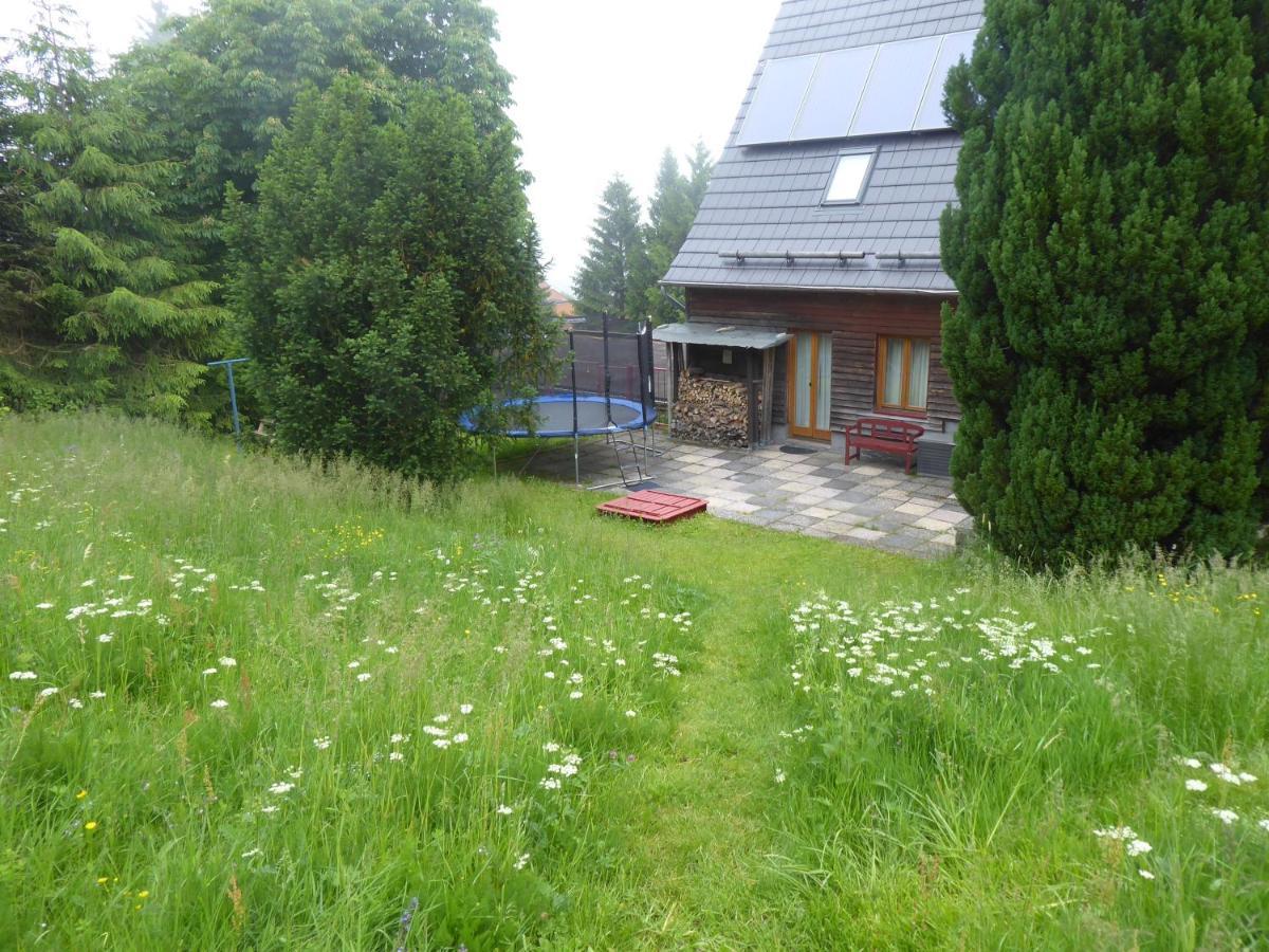 Apartment Haus Bergwiese - Fuer Naturfreunde, Familien, Wanderer